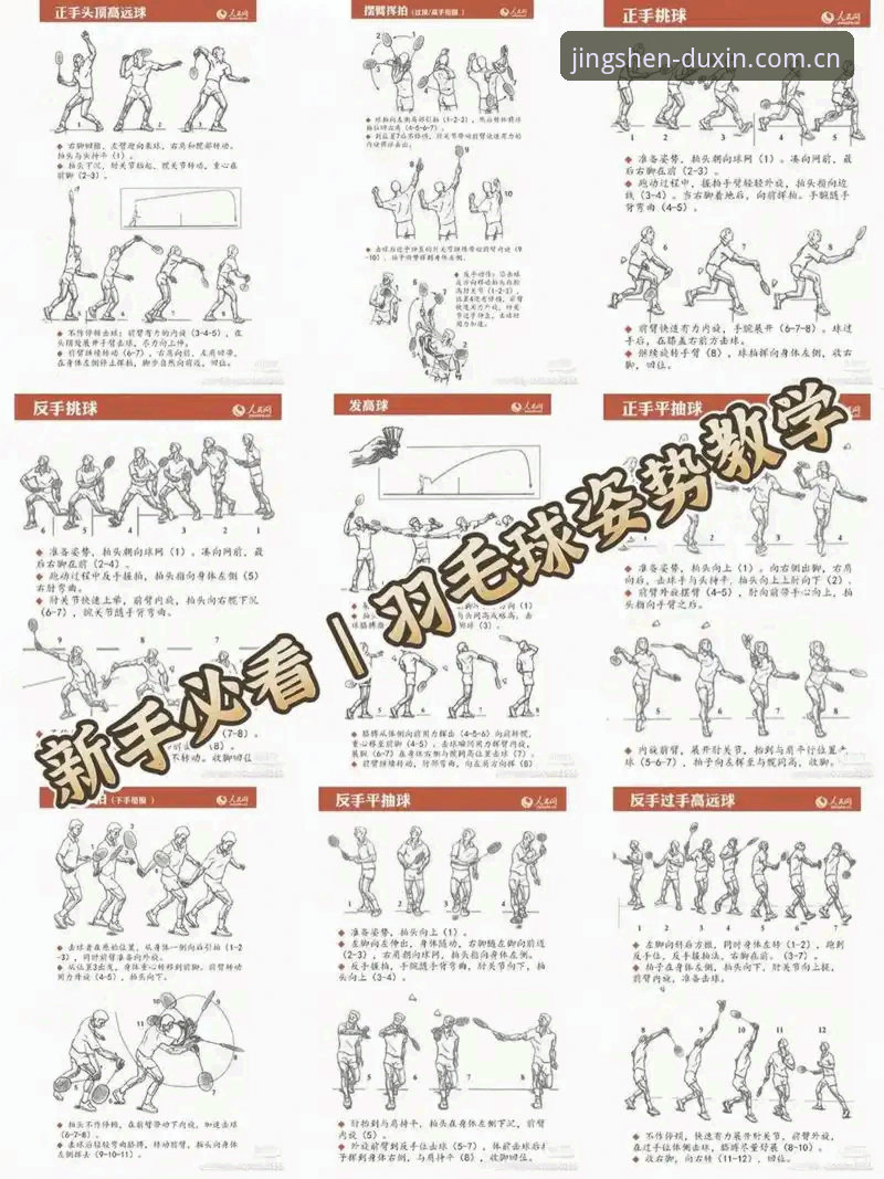 德信体育新手教程2026最新版本全流程介绍
